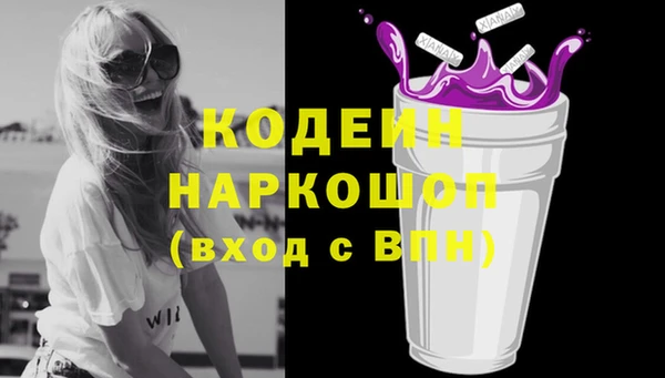 СК Богородицк