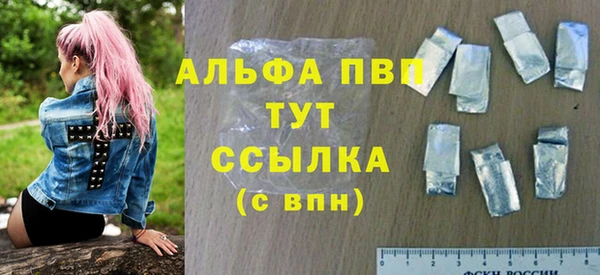 СК Богородицк