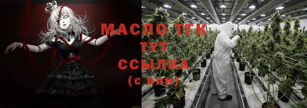 СК Богородицк