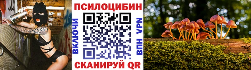 Псилоцибиновые грибы мухоморы где купить наркотик Пестово